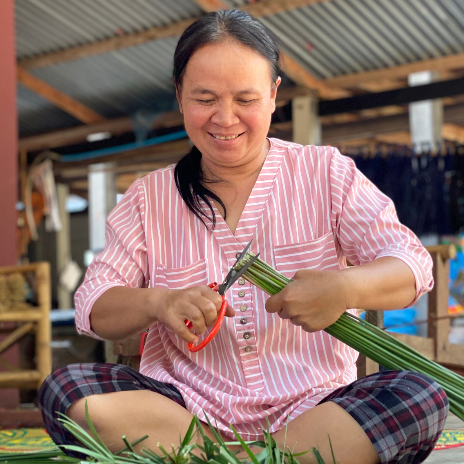 ช่างทอเสื่อกกกำลังนั่งเตรียมต้นกก Thai artisan is preparing water sedge for making a woven mat